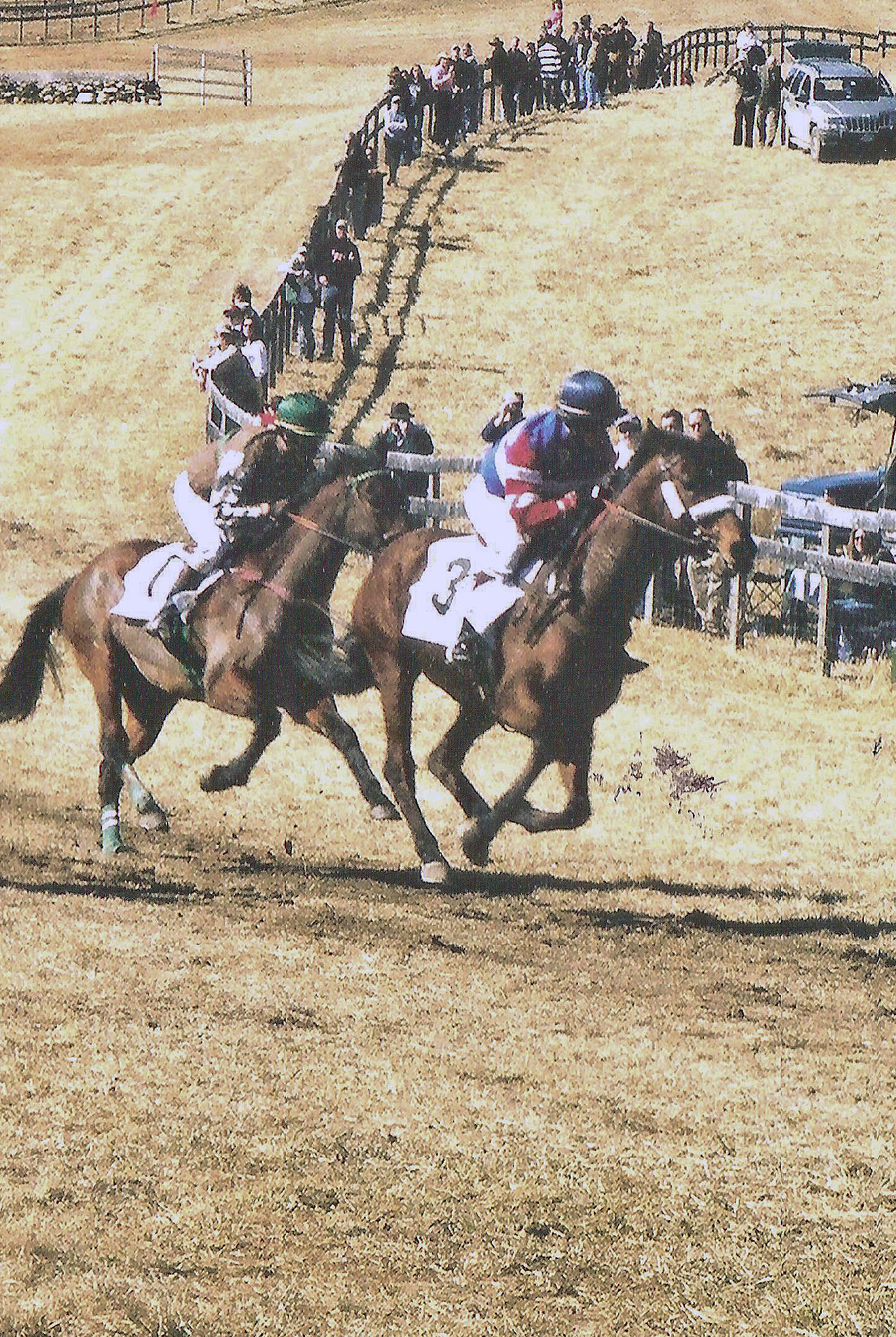 Point To Pass Racing Blue Ridge Point to Point Race vert – Old town crier