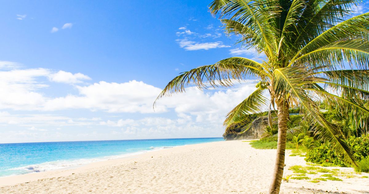 This Barbados Beach Has Tall Cliffs, Brilliant Blue Water, and a Haven for Slow Travel